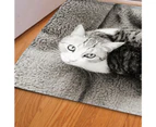 Door Mat Anti-slip 3D Coral Velvet Cat Dog Pattern Floor Mat for Bedroom Door-6#