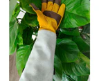Gardening Gloves for Men & Women,  Long Sleeve Thorn Proof Garden Gloves with Forearm Protection
