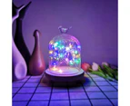Colourful 2M Battery Operated Lights Micro Silver Wire Waterproof Fairy Xmas Party Wedding