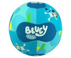 Bluey x Wahu Mini Soccer Ball - Randomly Selected