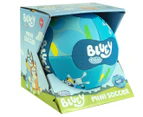 Bluey x Wahu Mini Soccer Ball - Randomly Selected