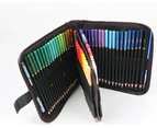 Professional Colored Pencils Set of 72 Color Pencils with Zipper Case, Luminance Map Pencils by Numbers with Premium Soft Core for Adult Artists Women