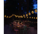 15ft 30 LED Pineapple String Lights, Fairy String Lights Battery Operated