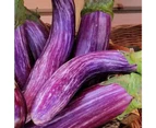 Eggplant 'Tsakoniki' Seeds