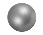 Gorilla Sports Gym Fitness Ball / Swissball Grey 65 cm