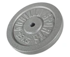 Gorilla Sports Weight Plate Cast Iron Silver - 25KG