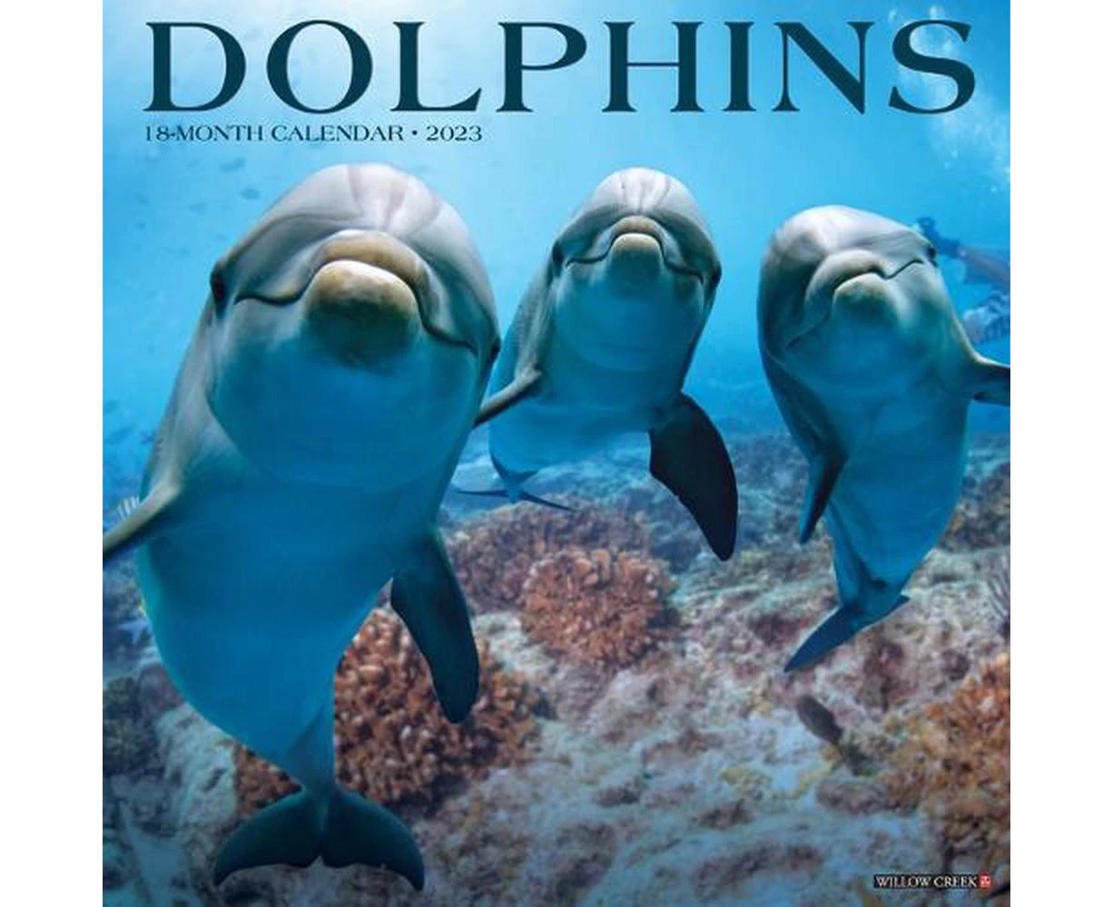 Dolphins 2023 Wall Calendar