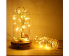 LED Fairy String Lights,10Ft/3M 30leds Firefly String Lights Garden Home Party Wedding Festival Decorations(Warm White)