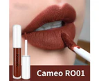 Silk Velvet Lasting Moisturizing Lip Glaze Non Sticky Liquid Lipstick Cosmetic-Cameo R001