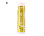 3.5g Lip Balm Moisturizing Nourishing Natural Fresh Fruit Lip Oil Clear Lasting Cream for Female-14
