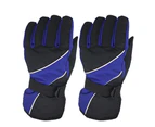 Outdoor Touch Screen Riding Warm Full Finger Ski Mountaineering Gloves - Blue
