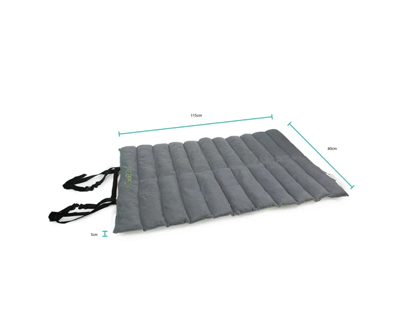 Pet travel outlet mat