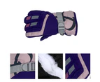Thick velvet warm motorcycle waterproof anti-skid wind riding touch screen cotton ski gloves - Purple