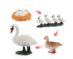 Model Toy Simulation Animal Design Early Educational Plastic Learning Growth Cycle Miniature for Children