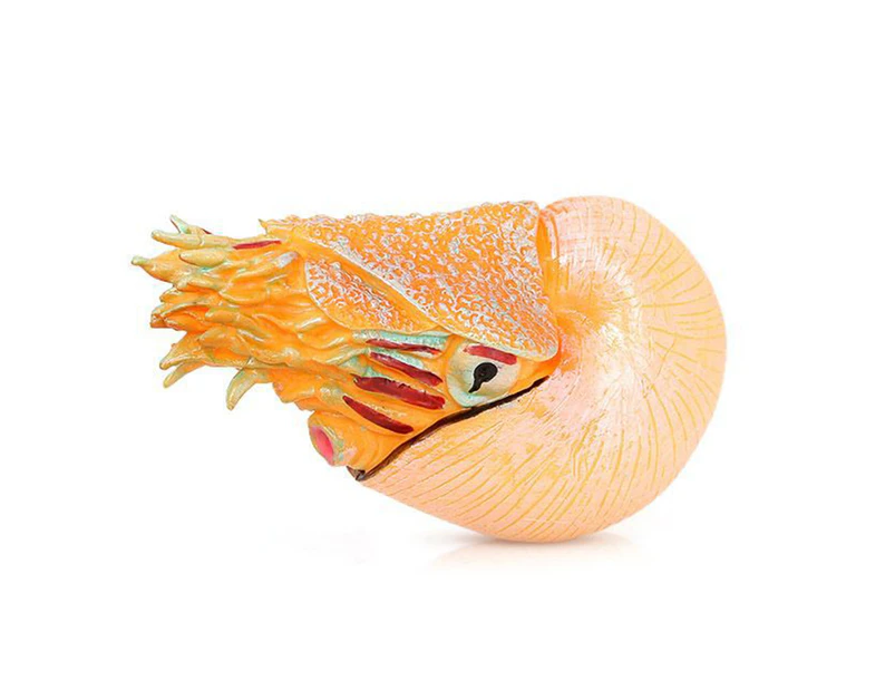 Nautilus Model Rust-proof Collectable Early Educational Ocean Animal Model Toy for Shelf Decor-Dark Yellow
