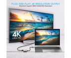 4-in-1 Type-C Hub 4K VGA 1080P Dual Screen Display PD USB 3.0 USB-C Docking Station