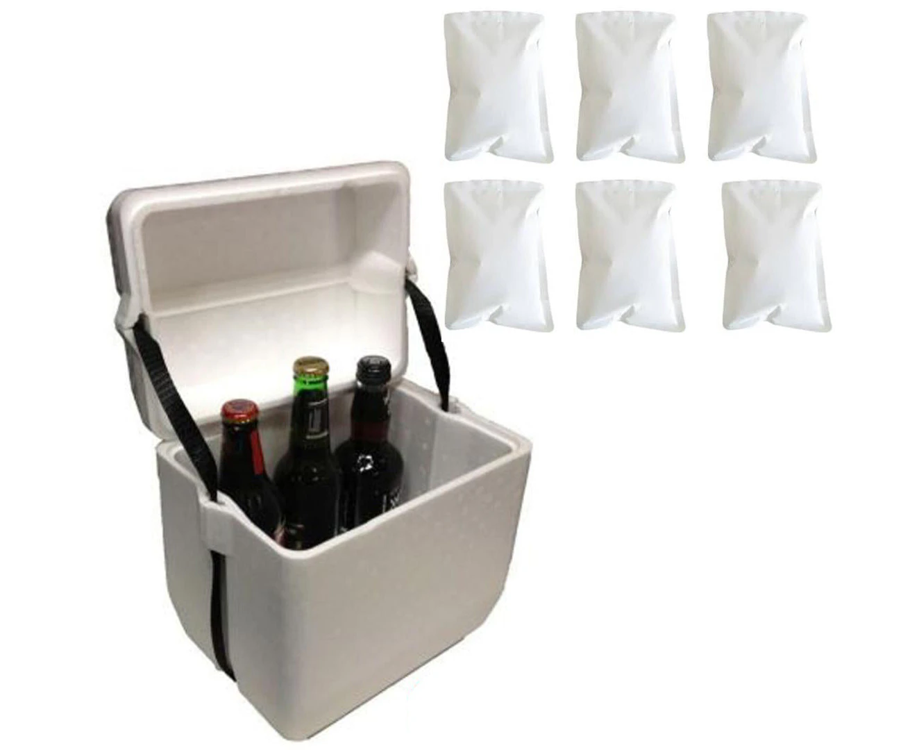 6L Polystyrene styrofoam foam cooler box icebox 6-bottle Size and 6 reusable ice gel packs