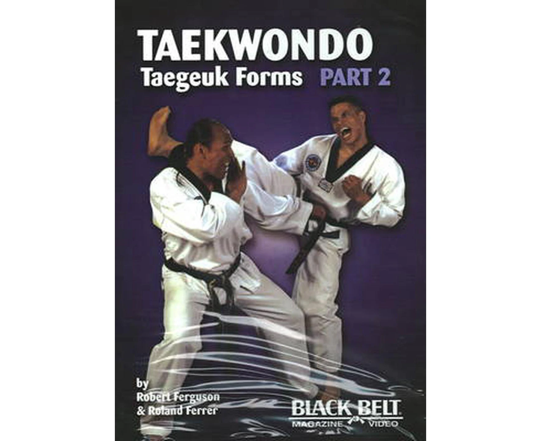 Tae Kwon Do (taegeuk) Forms 2