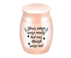 Compact Pets Urn Easy Use Metal Sealed Waterproof Ashes Casket for Home-Rose Gold