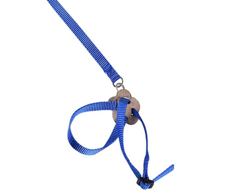 Adjustable Reptile Lizard Parrot Turtle Harness Hauling Cable Rope Pet Leash-Blue