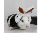 Pet Guinea Pig Kittens Warm Plush Hat Adjustable Headband with Cute Rabbit Ears-Coffee
