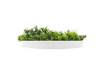 Nnedsz Flowering White Artificial Green Wall Disc Uv Resistant 100cm (white Frame)
