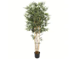 Nnedsz Premium Natural Cane Artificial Bamboo (uv Resistant) 150cm