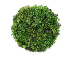 Nnedsz Slimline Artificial Green Wall Disc Art 100cm Mixed Green Fern (black)