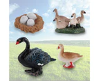 Chicken Duck Goose Swan Growth Cycle Simulation Poultry Toy Home Desk Ornament-F