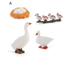Chicken Duck Goose Swan Growth Cycle Simulation Poultry Toy Home Desk Ornament-F