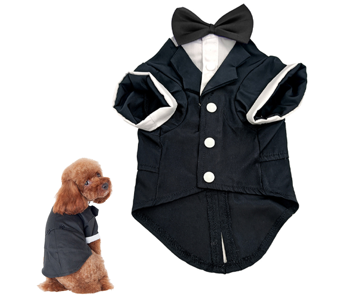 dog tuxedo kmart