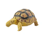Turtle Cognitive Toys Adorable Delicate Plastic Galapagos Tortoise Decoration Model for Kids