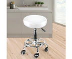 Levede Salon Stool Swivel Hairdressing Barber Stools Bar Chairs Lift Round - White