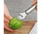 Lemon Grater Anti-slip Kitchen Gadget Stainless Steel Fruit Citrus Lemon Peeler Grater for Kitchen