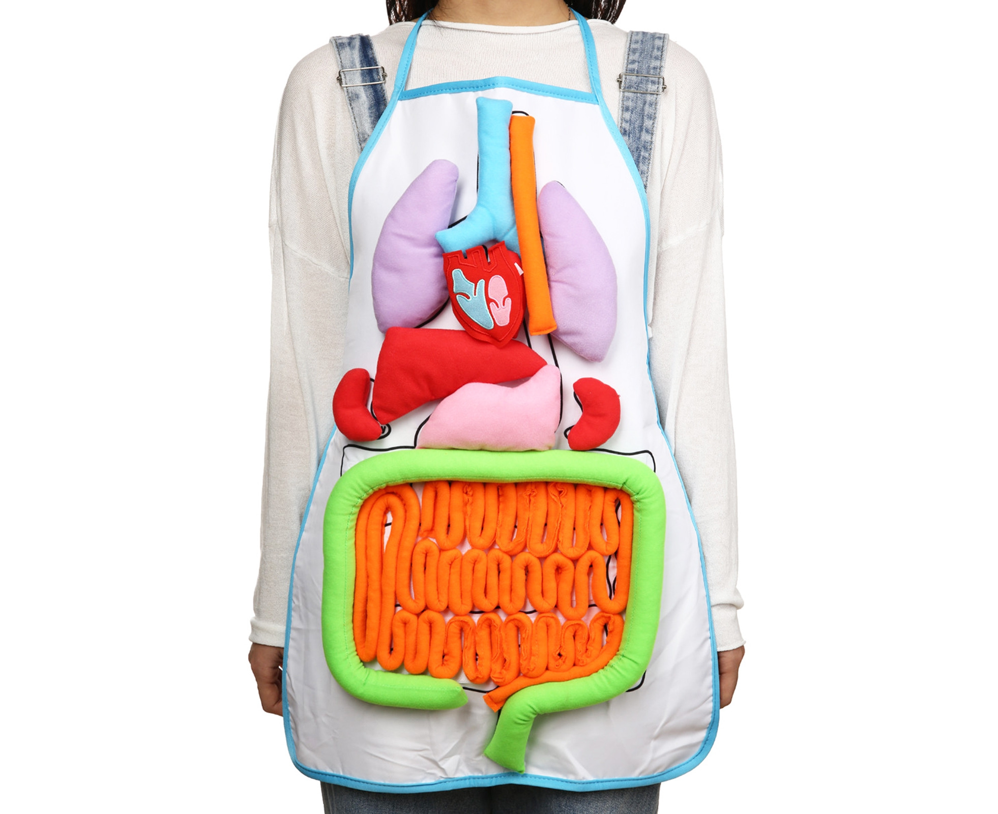 anatomy-apron-human-body-organ-educational-tool-children-preschool