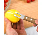 Fruit Grater Eco-friendly Rust-proof Lightweight Ergonomic Handle Vegetable Slicer for Daily Use