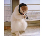 Puppy Cap Twist Braid Cute Shape Hand Knitting Cat Dog Woolen Yarn Hat Headwear Pet Accessories 1#