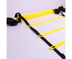 Speed Footaball Agility Ladder Training Equipment Set with Resistance Chute Yellow