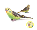 Simulation Parrot Bird Wild Solid Model Figurine Kids Educational Toy Desk Decor