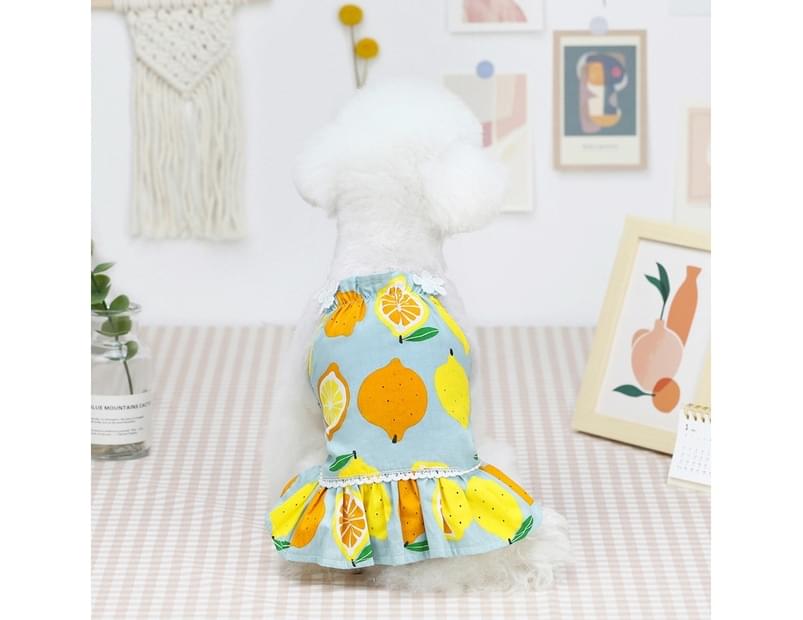 catch.com.au | Pet Clothing Dog Cat Dress Lemon Skirt