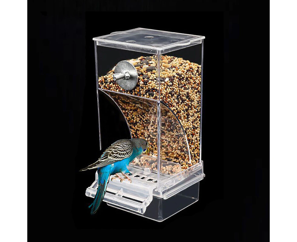 Automatic Budgie Cockatiel Parrot Feeder Pet Bird Cage Seed Feeding Stand Container Box Bowl Acrylic