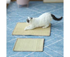 Cat Scratch Pad Pet Supplies Carpet Sleeping Mat Cat Placemat, Random Color Delivery, Specification: Overlock 50x80cm