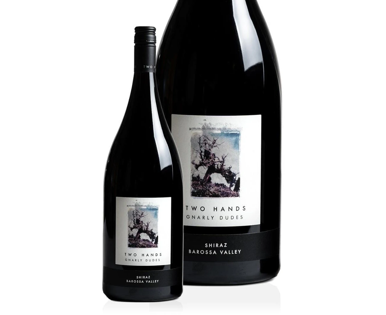 Two Hands Gnarly Dudes Shiraz 2021 14.2% Magnum 1500ml - 3 Pack