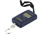 Travel Scale Weighing Scale Digital Hook Luggage Fish Scale 10~40000G Scale