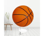 Ball Stand Transparent Multi-Function Acrylic Basketballs Display Bracket for Playground Transparent
