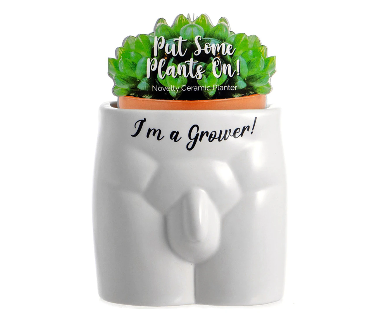 Boxer Gift 12cm Put Some Plants On I'm a Grower Planter Flower/Vegetable Pot