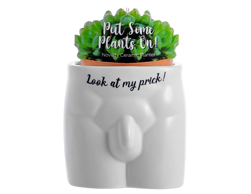 Boxer Gifts Put Some Plants On Planter Funny Plant Pot White Look At My Prick