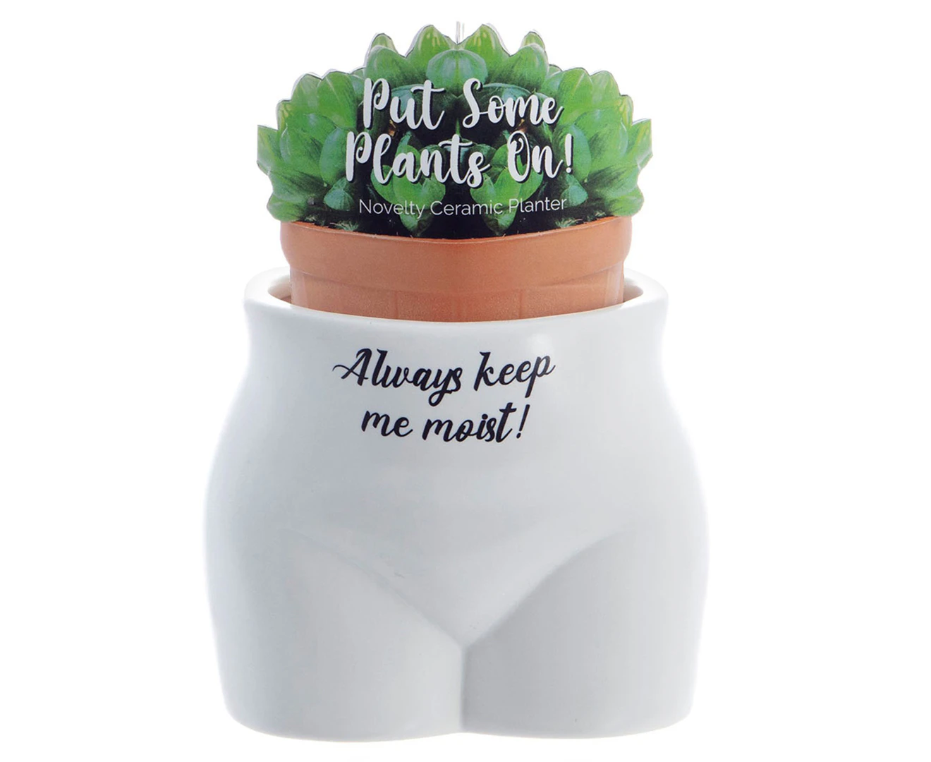 Boxer Gifts Put Some Plants On Planter Pot Decor Always Keep Me Moist Planter