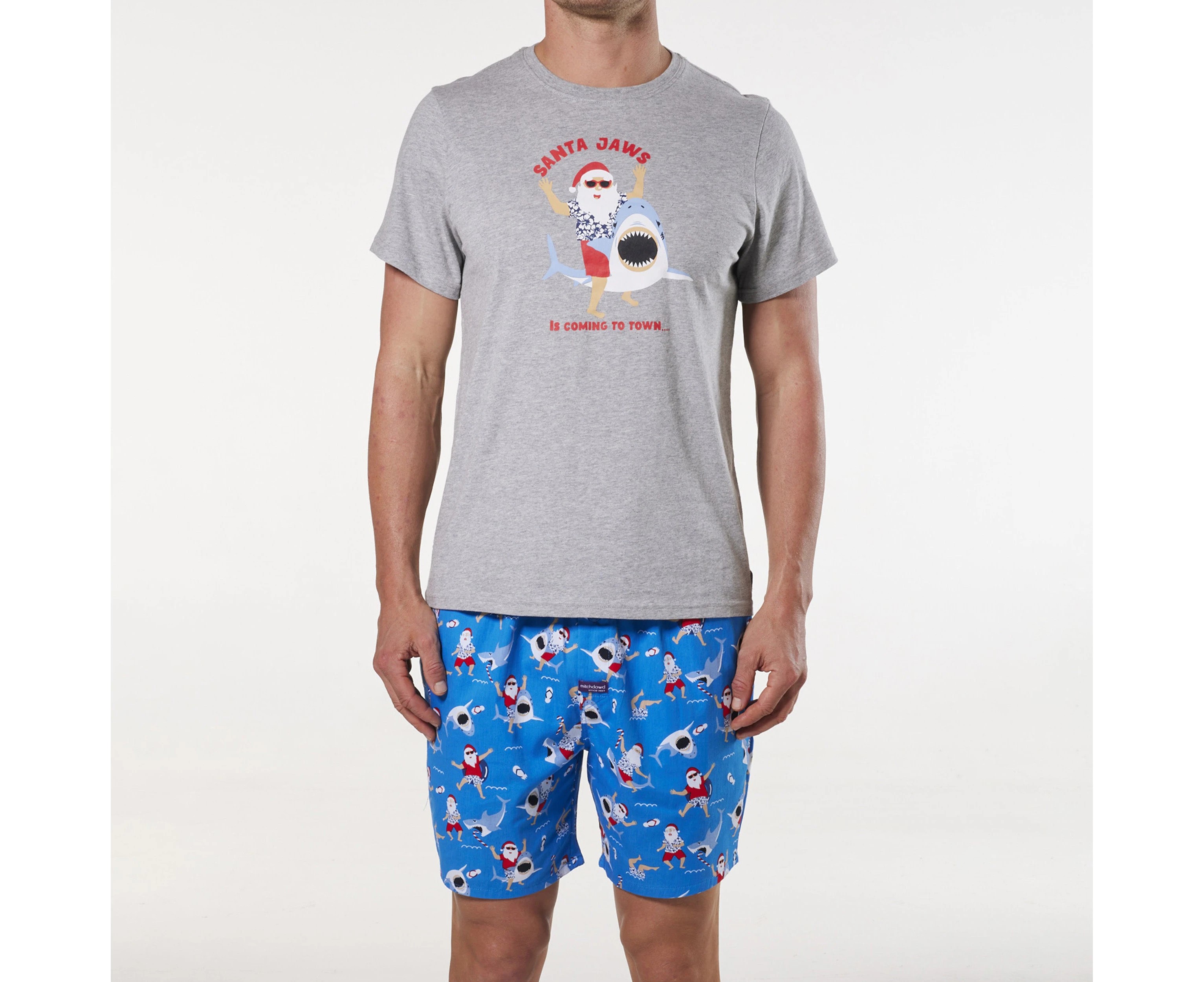 Mitch Dowd - Men's Surfs Up Santa Cotton Printed Woven Pyjama Set - Grey Marle