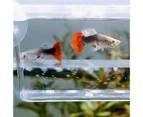 Aquarium Hatching Incubators Large Space Double Layer Transparent Plastic Fish Tank Breeding Isolation Box Aquarium Supplies